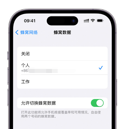 城区苹果维修服务分享如何在iPhone上使用双卡 